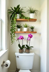 Add a touch of nature to your bathroom with lush green plants that thrive in humidity